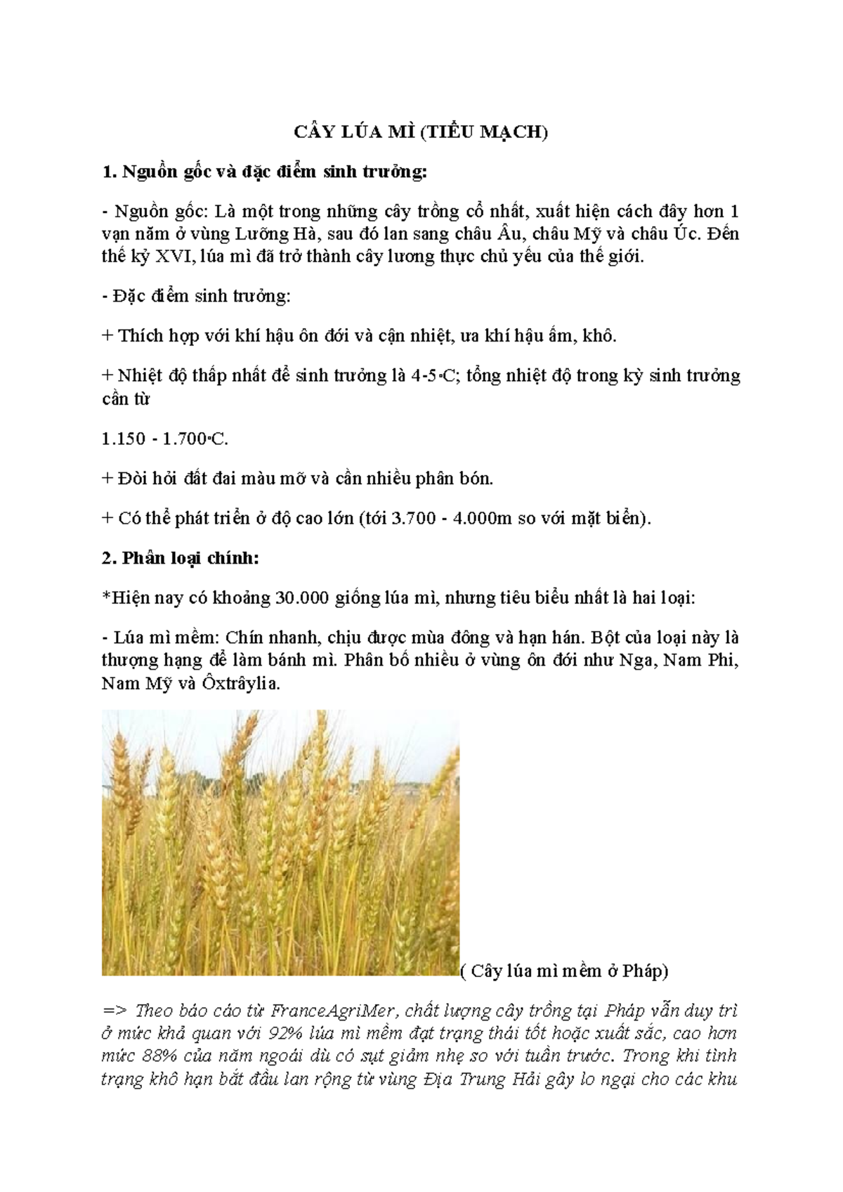 CÂY LÚA MÌ (TIỂU MẠCH) - ĐẶC ĐIỂM VÀ THÁCH THỨC TRONG SẢN XUẤT - Studocu
