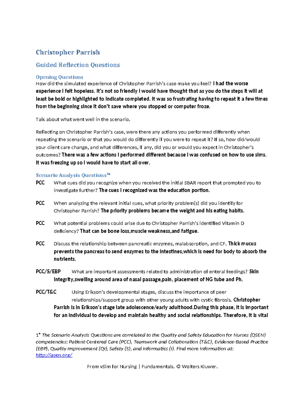 Nursing Care Plan Packet-1: Guidelines for Clinical Worksheets and ...