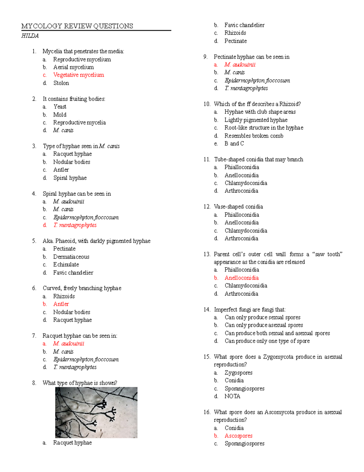 Mycology Review Questions: Key Concepts and Exam Prep Guide - Studocu
