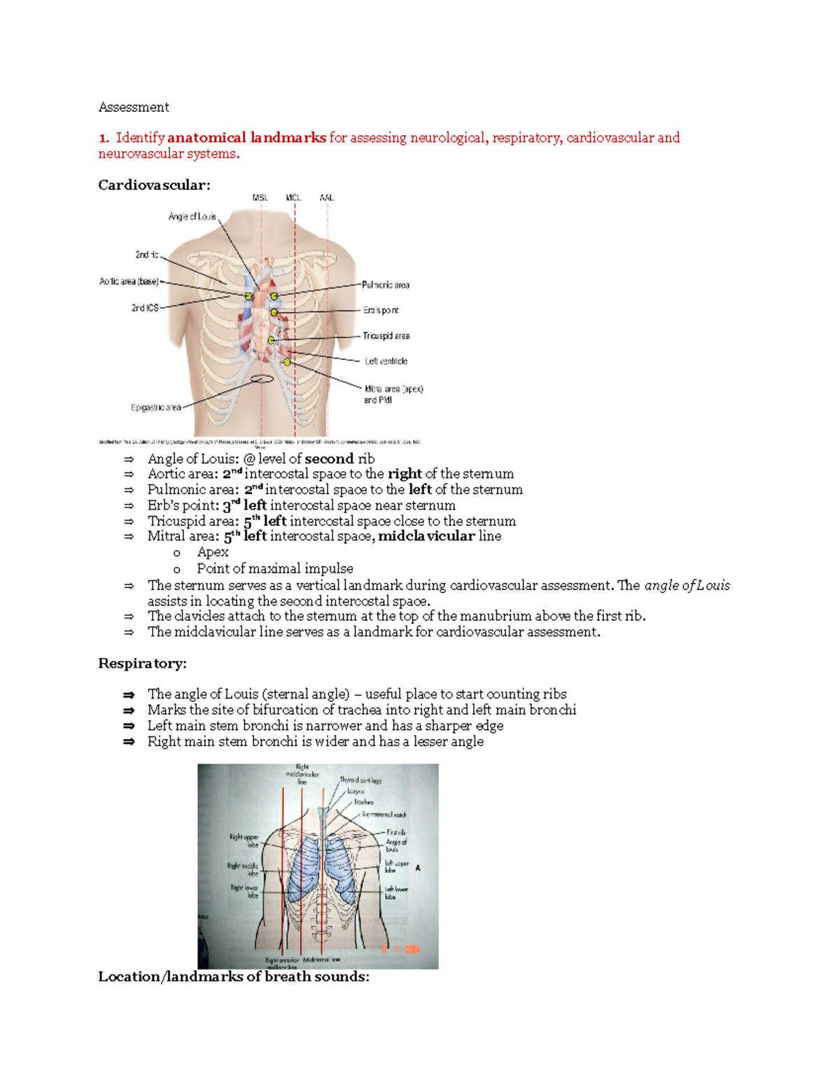 Assessment 2 - lecture notes - Assessment Identify anatomical landmarks ...