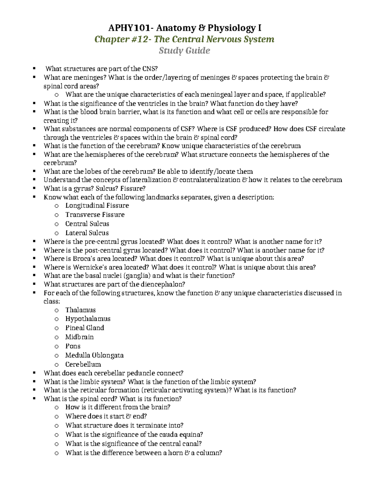 Anatomy Physiology I Chapter 12 Study Guide: The Central Nervous System ...