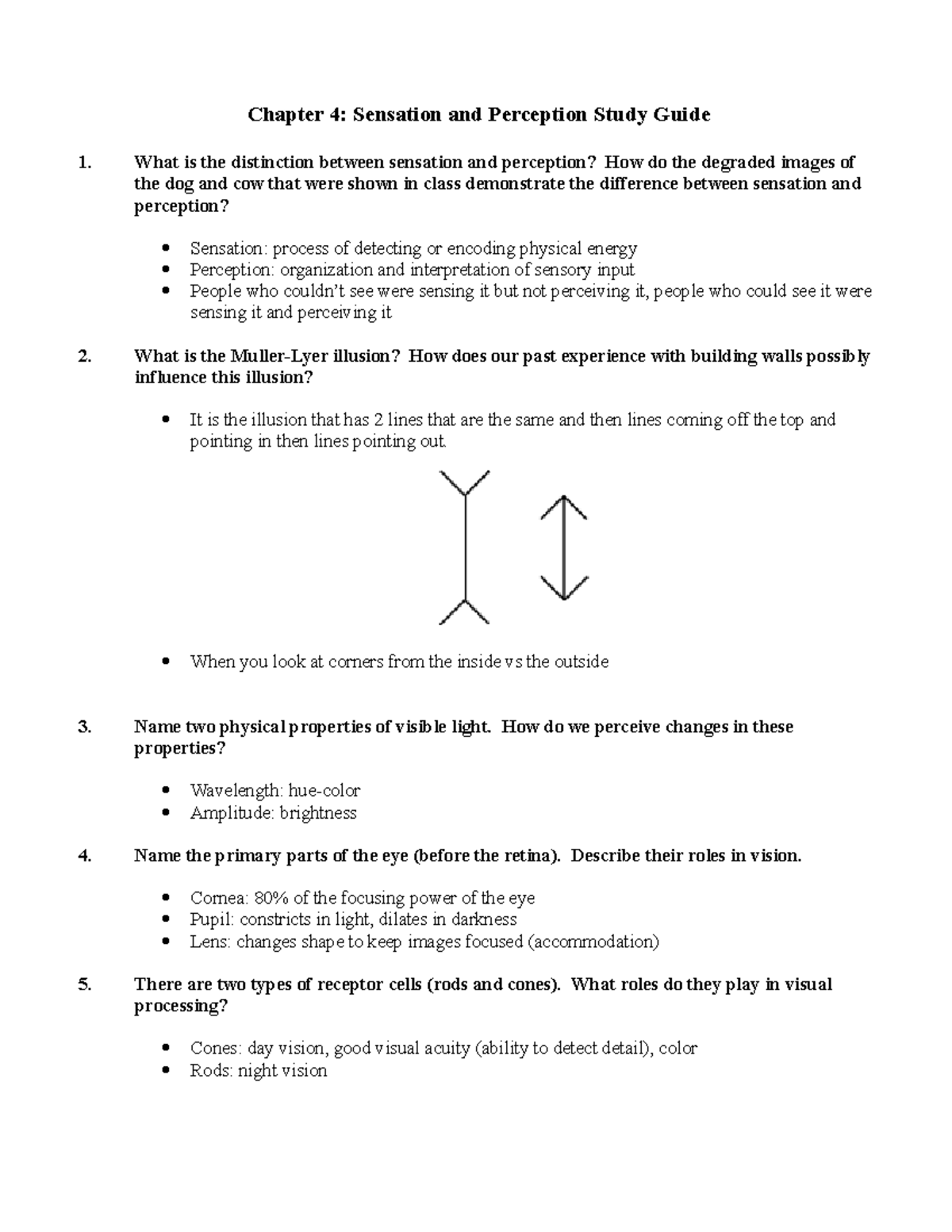 Chapter 4 Study Guide: Sensation and Perception for Exam 1 - Studocu
