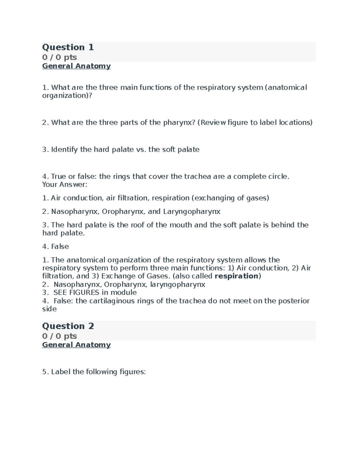 Biod 151 Module 1 Problem Set: Levels of Organization & Life Functions ...