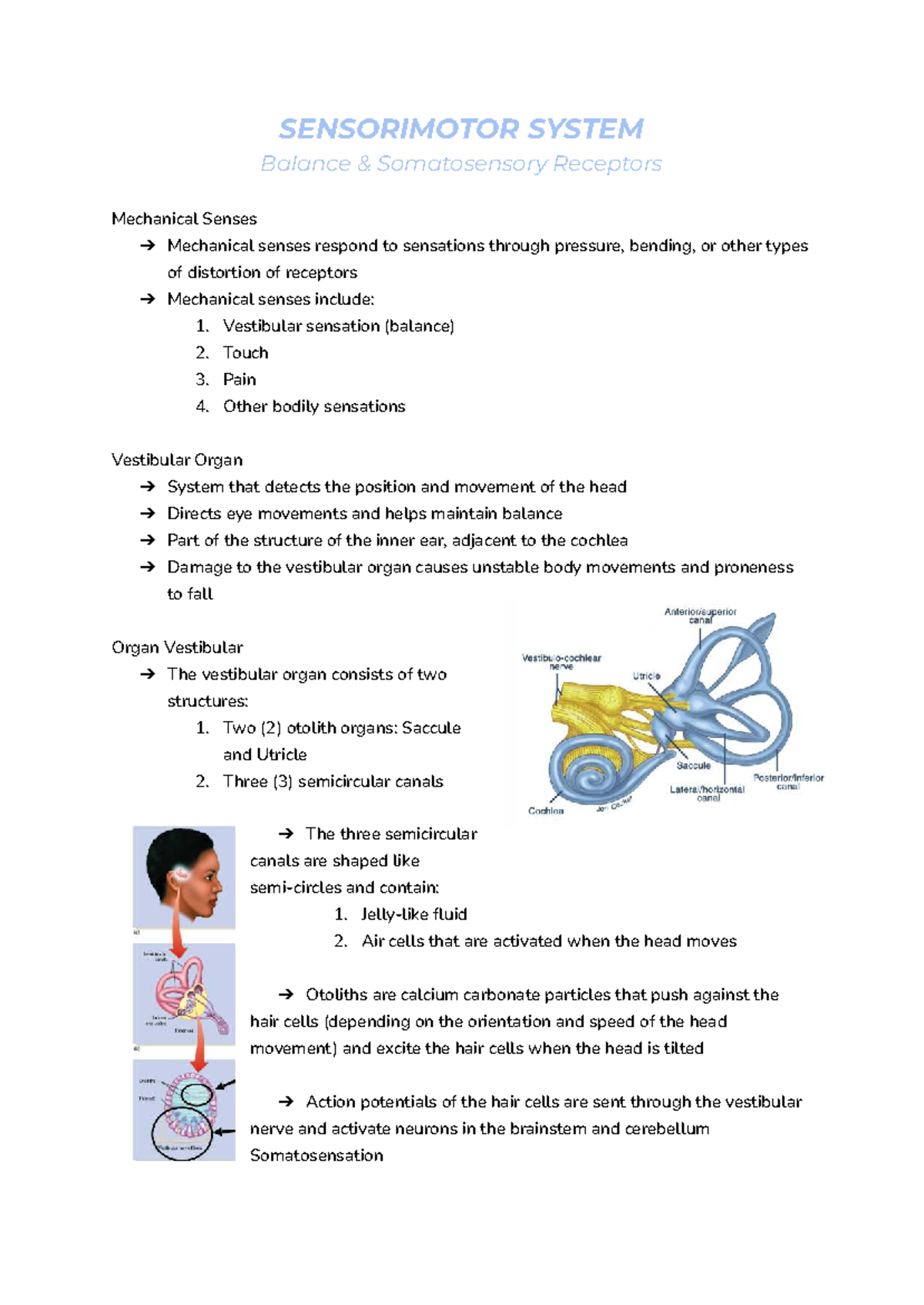 SENSORIMOTOR SYSTEM: Balance & Somatosensory Receptors Overview - Studocu