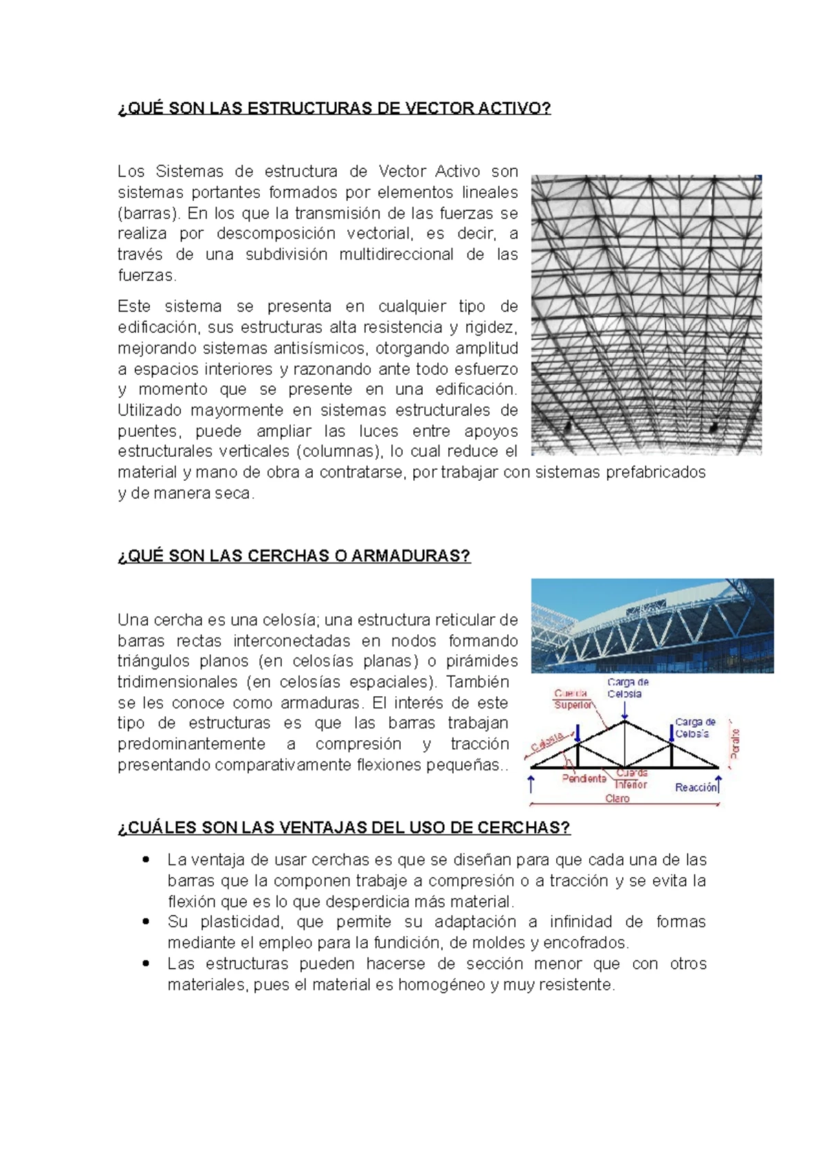 QUÉ SON LAS Estructuras DE Vector Activo - ¿QUÉ SON LAS ESTRUCTURAS DE ...