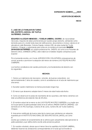 Tesis 169986: Acción Reivindicatoria y Requisitos Esenciales en Juicio
