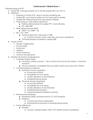 CBC Flow Chart - kathy assignment - Complete Blood Count Disorders Flow ...
