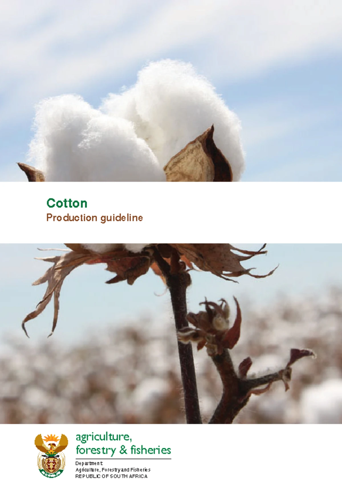 Cotton Economics and Production Processes: From Field to Fabric 129k ...