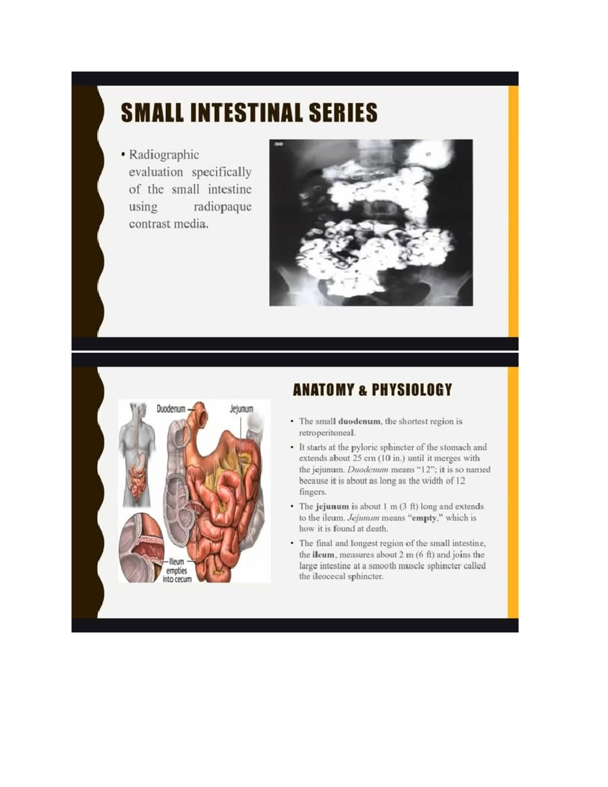 SMALL INTESTINAL SERIES (SBS) Radiographic Evaluation and Procedures ...