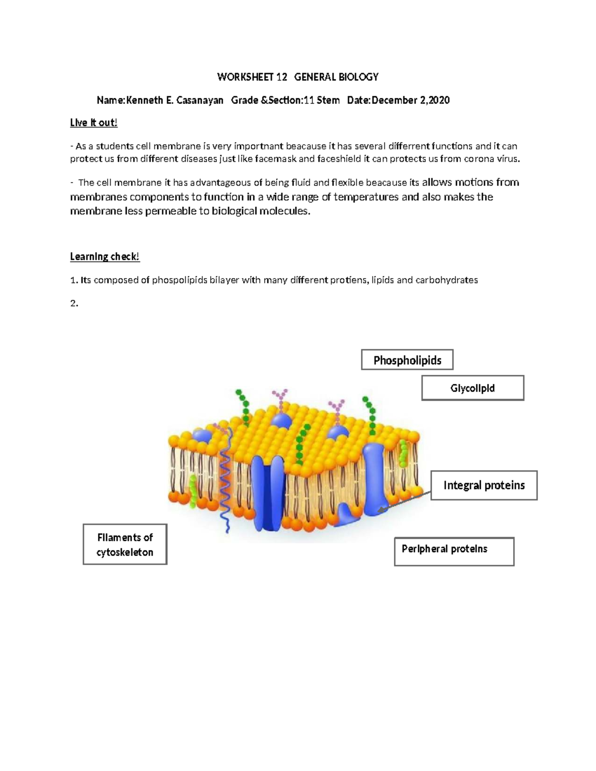 GenBio WS#12: Understanding Cell Membrane Functions and Structure - Studocu