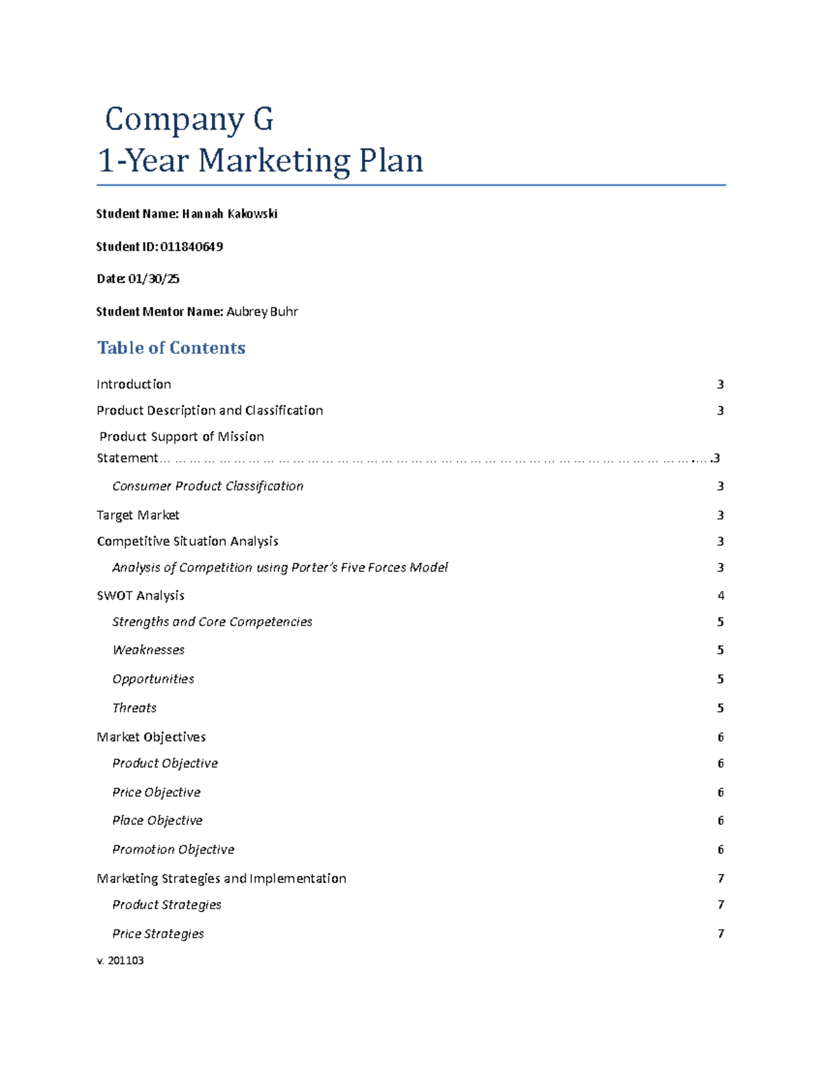 Company G One-Year Marketing Plan - Company G 1-Year Marketing Plan ...