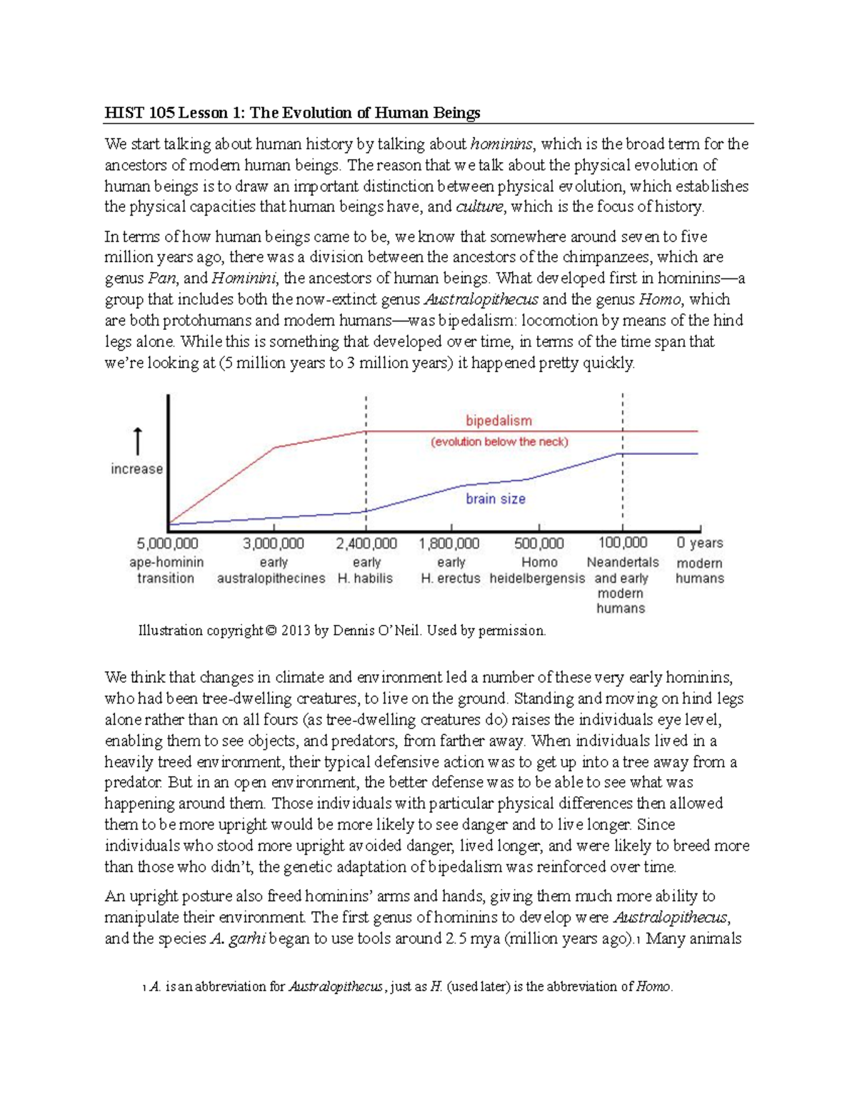 HIST 105 Lesson 1: The Evolution of Human Beings and Hominin ...