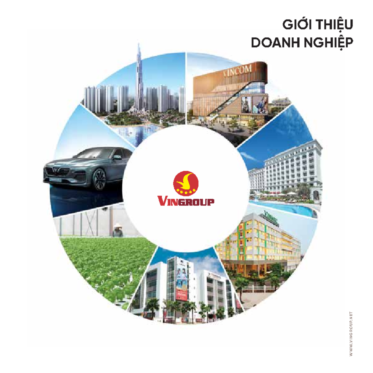HÀNH TRÌNH VINGROUP TRỞ VỀ VÀ PHÁT TRIỂN TẠI THỊ TRƯỜNG VIỆT NAM