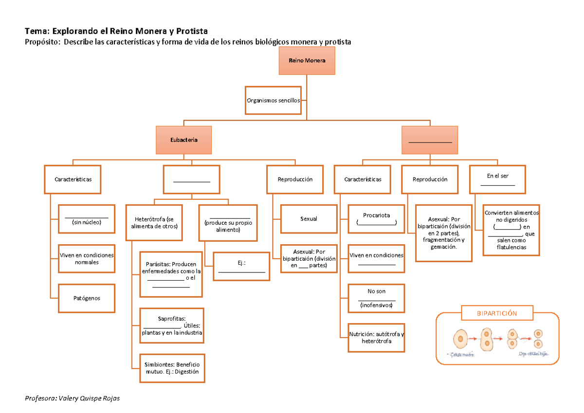 Mapa Conceptual del Reino Monera y Protista - Ficha de Trabajo 1B - Studocu