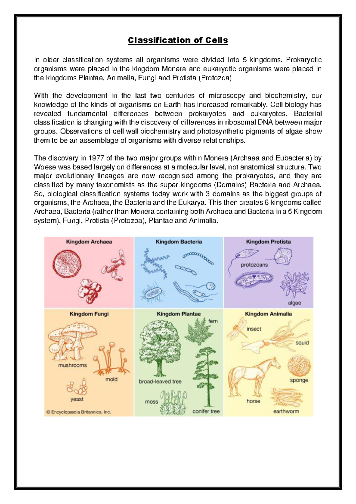 Cell Classification: Prokaryotes & Eukaryotes Overview - Studocu