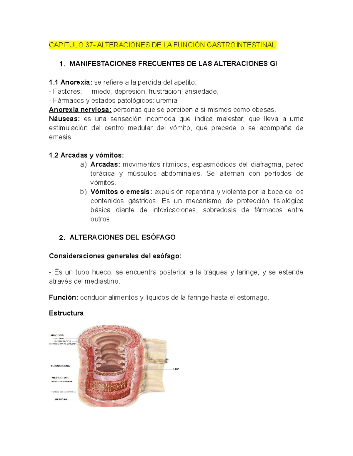 Metamera - Metámera Una metámera o mielómero es un fragmento de la ...