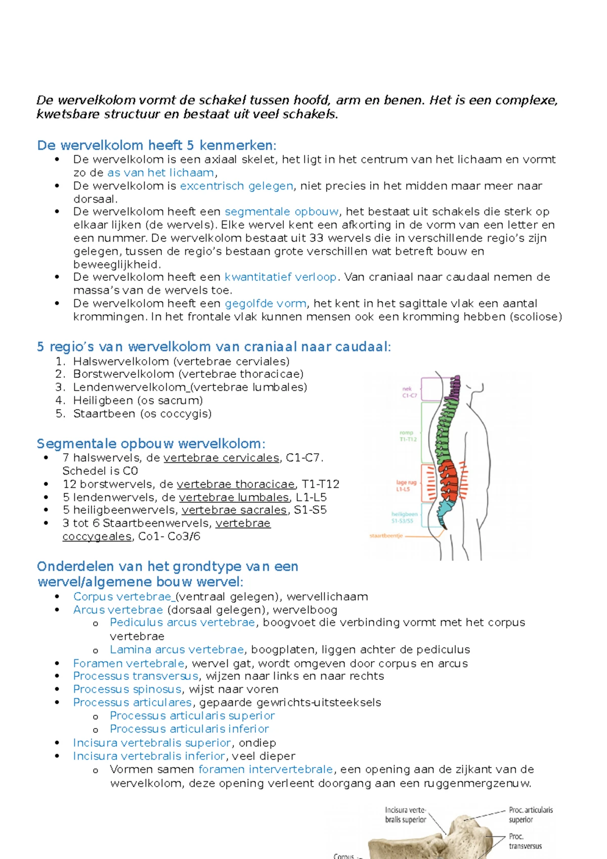 kngf-richtlijn-fysiotherapeutische-dossiervoering-2019-praktische-gids