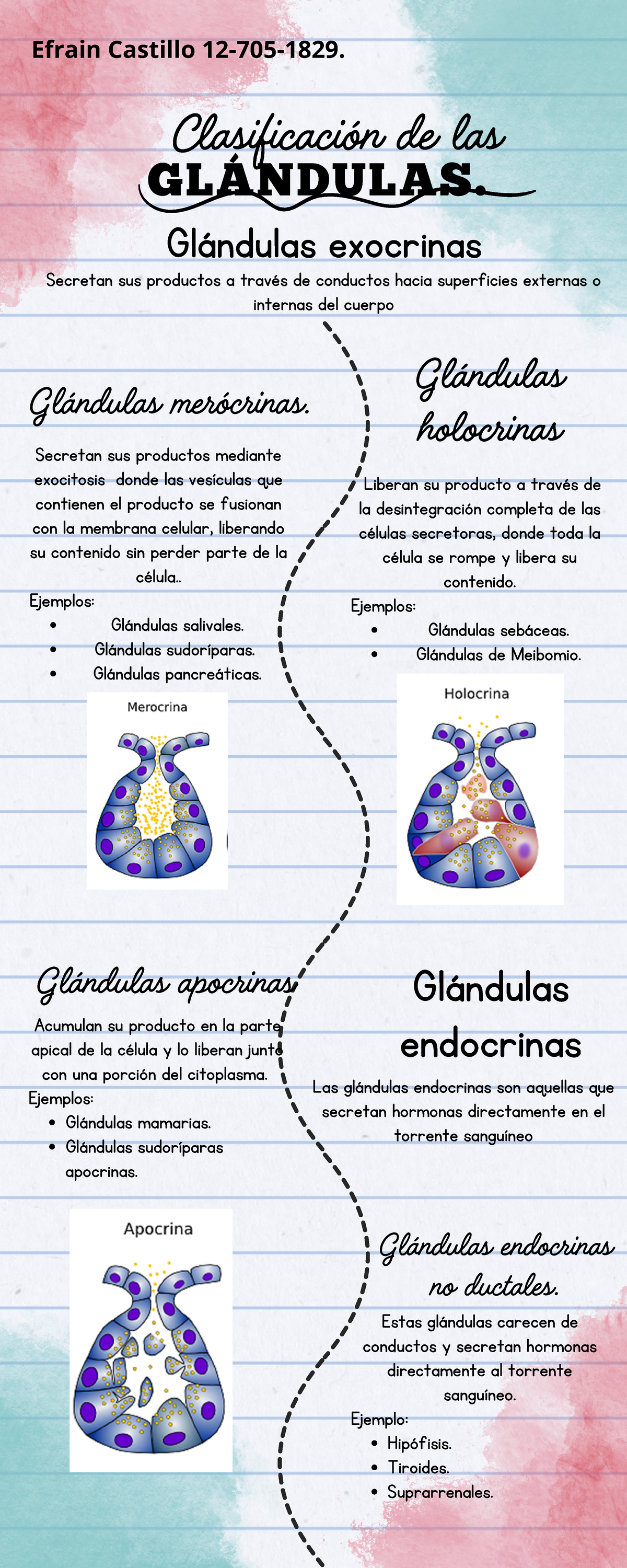 Untitled, image size:1200x3000