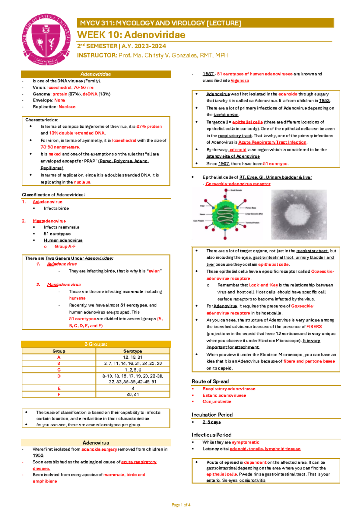 Midterm Lecture Notes on Adenoviridae: MYCV 311 Mycology and Virology ...