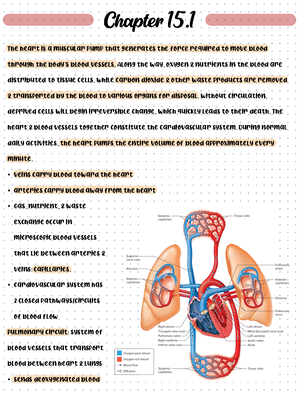 Chapter 13 Endocrine System - ####### Regulating the functions of ...