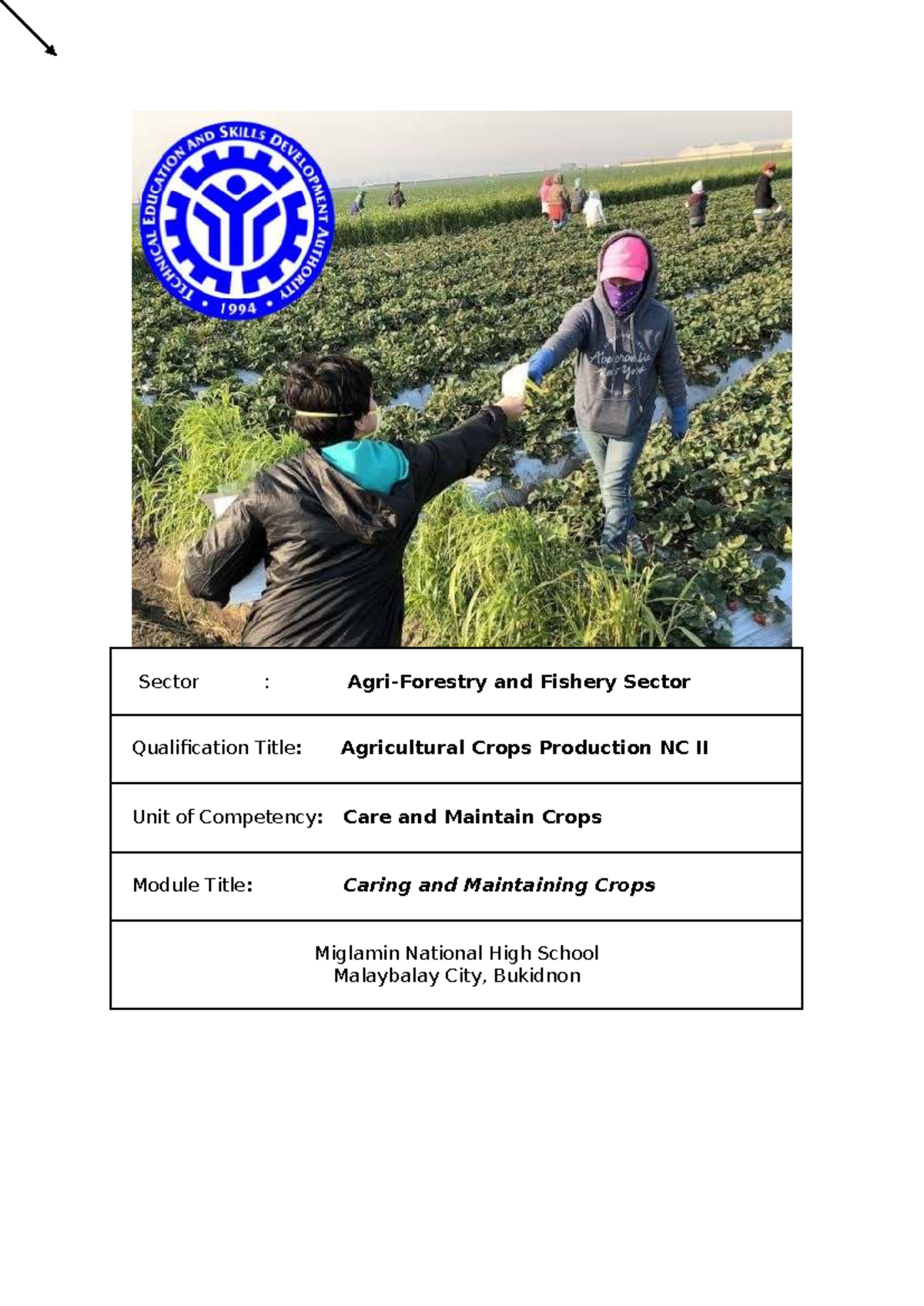 Session Plan for Agricultural Crops Production NC II: Care and Maintain ...