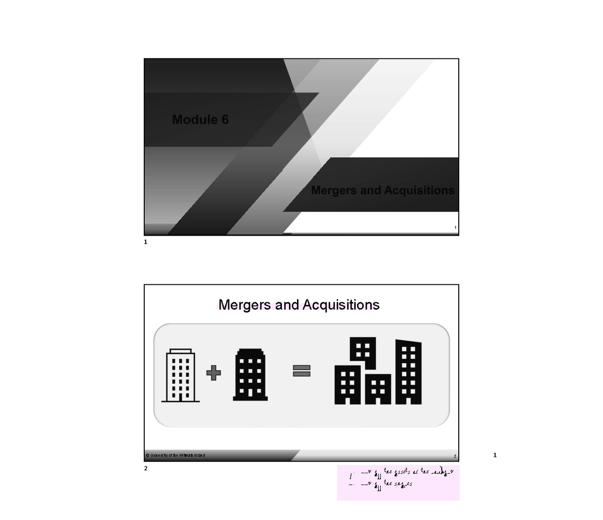 Mergers and Acquisitions Study Notes (ACCT 101) - University of ...