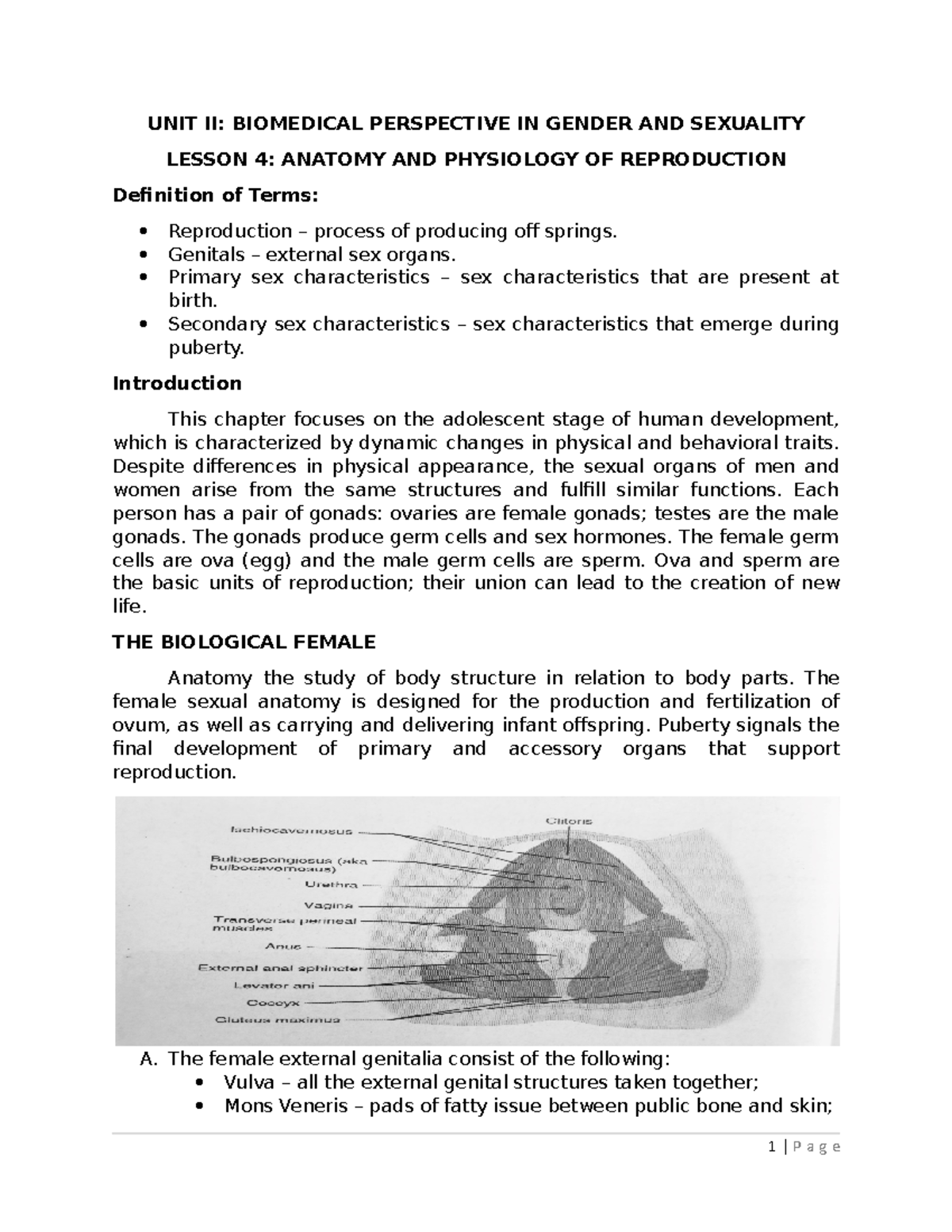 Gender and Society Module 2: Biomedical Perspectives on Reproduction ...