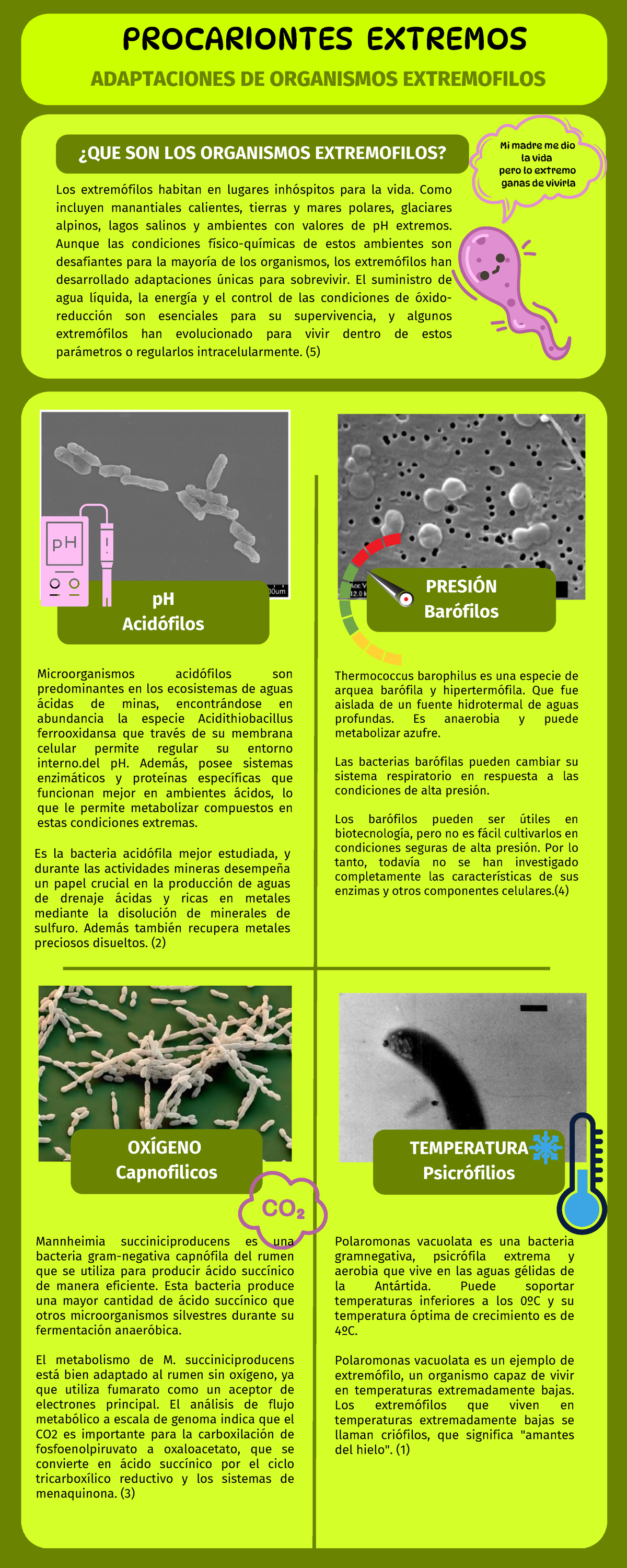 Adaptación de organismos extremofilos - ¿QUE SON LOS ORGANISMOS ...