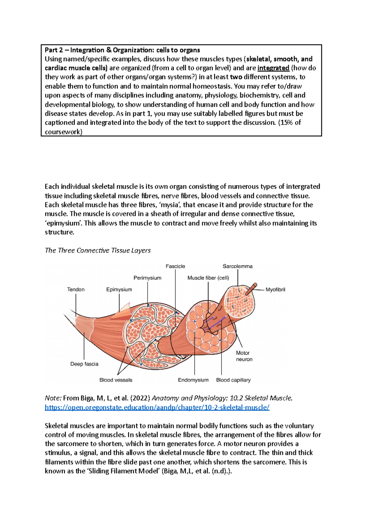 Q2 assignment human physiology - Part 2 – Integration & Organization ...