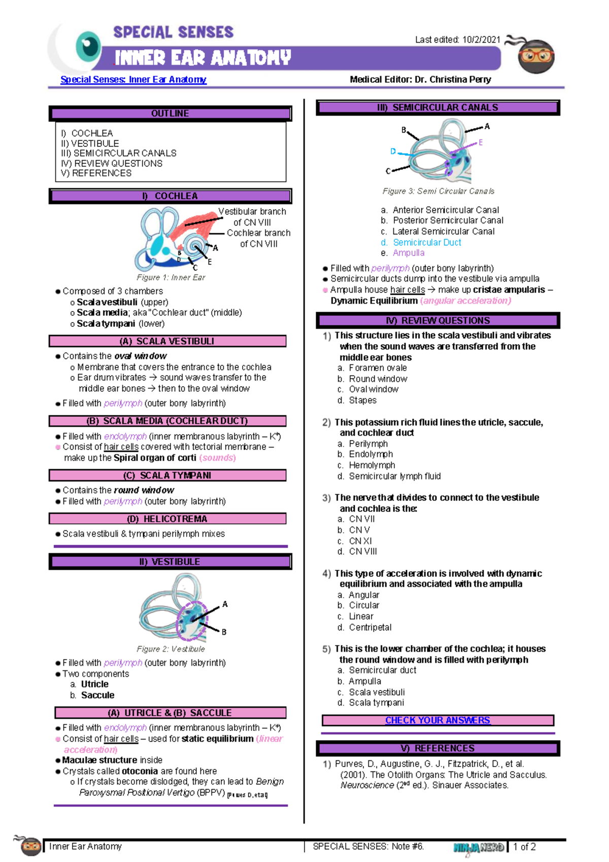7 Inner Ear Anatomy 250506 102427 - Inner Ear Anatomy SPECIAL SENSES ...