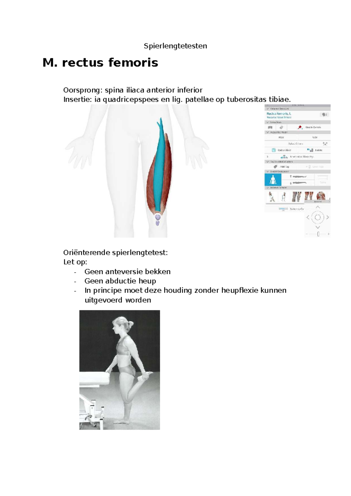 Spierlengtetesten M. rectus femoris en Iliopsoas - KObasis Opdracht 1 ...