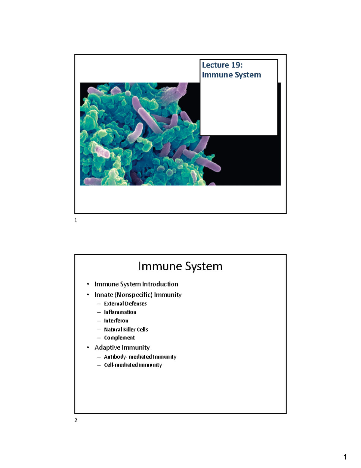 Lecture 19: Immune System Overview and Function in Physiology - Studocu