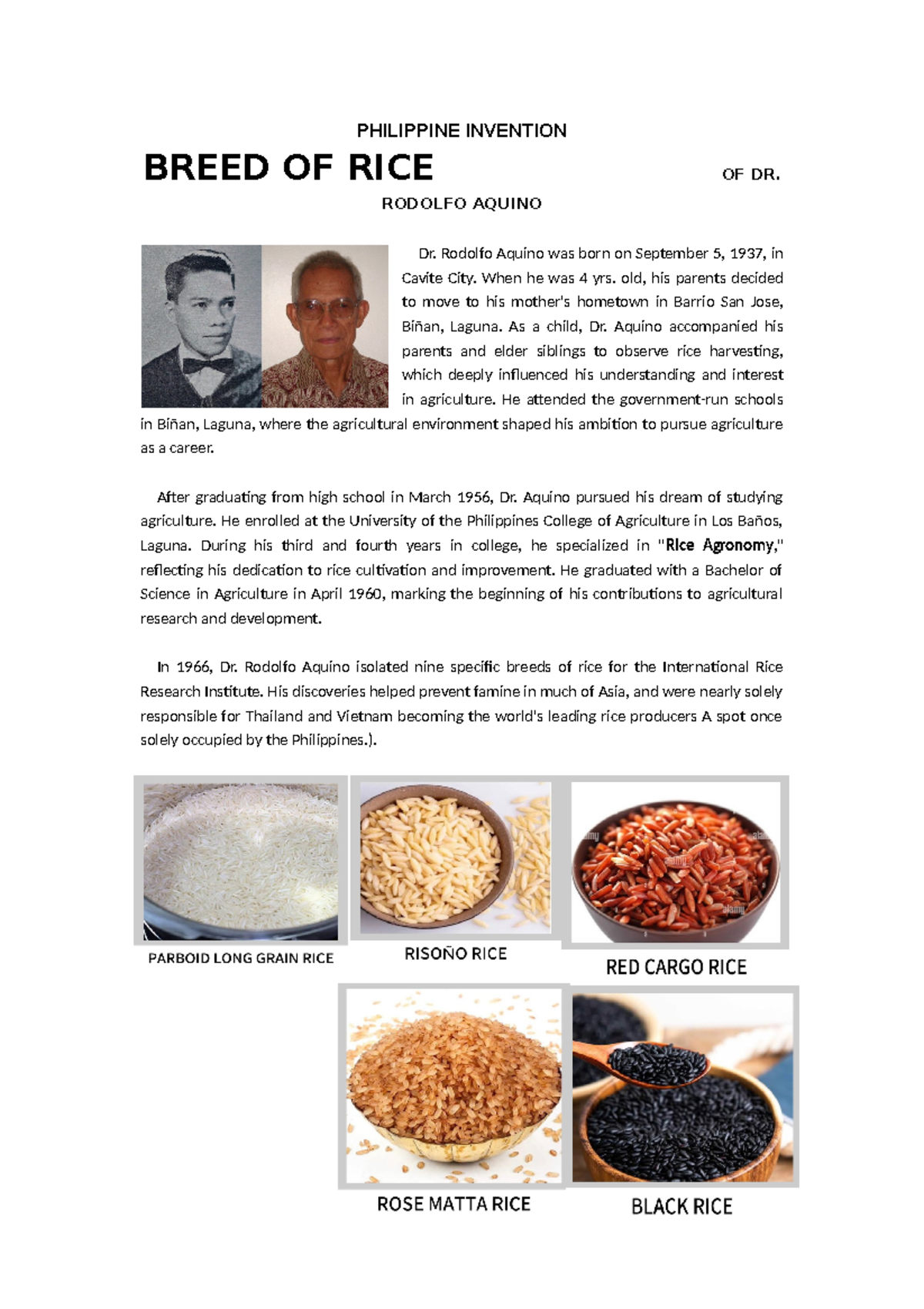 Philippine Invention: Dr. Rodolfo Aquino's Rice Breeds Impact - Studocu