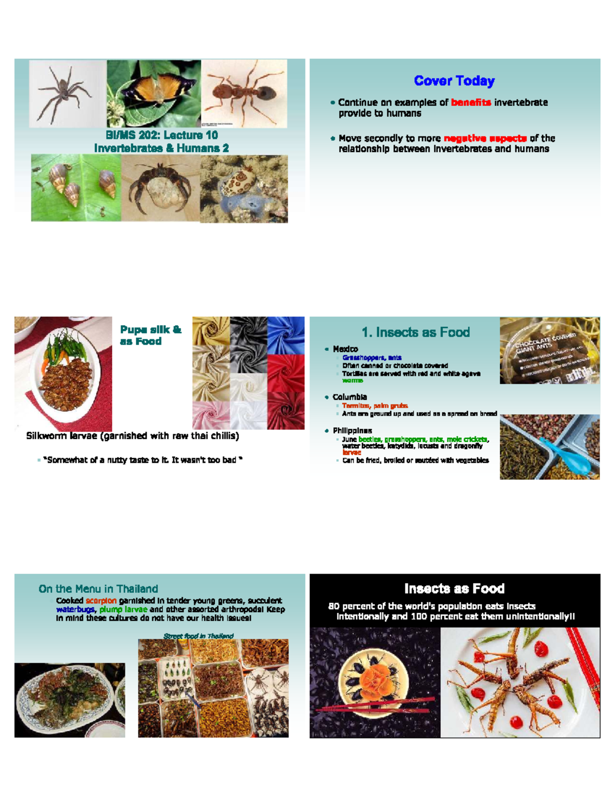 Invertebrates: Benefits and Negatives for Humans - Studocu