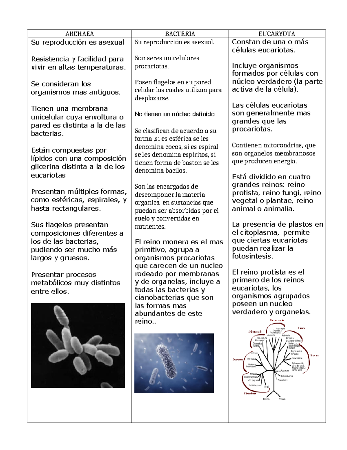 Cuadro Comparativo: Arqueas, Bacterias y Eucariotas - Studocu
