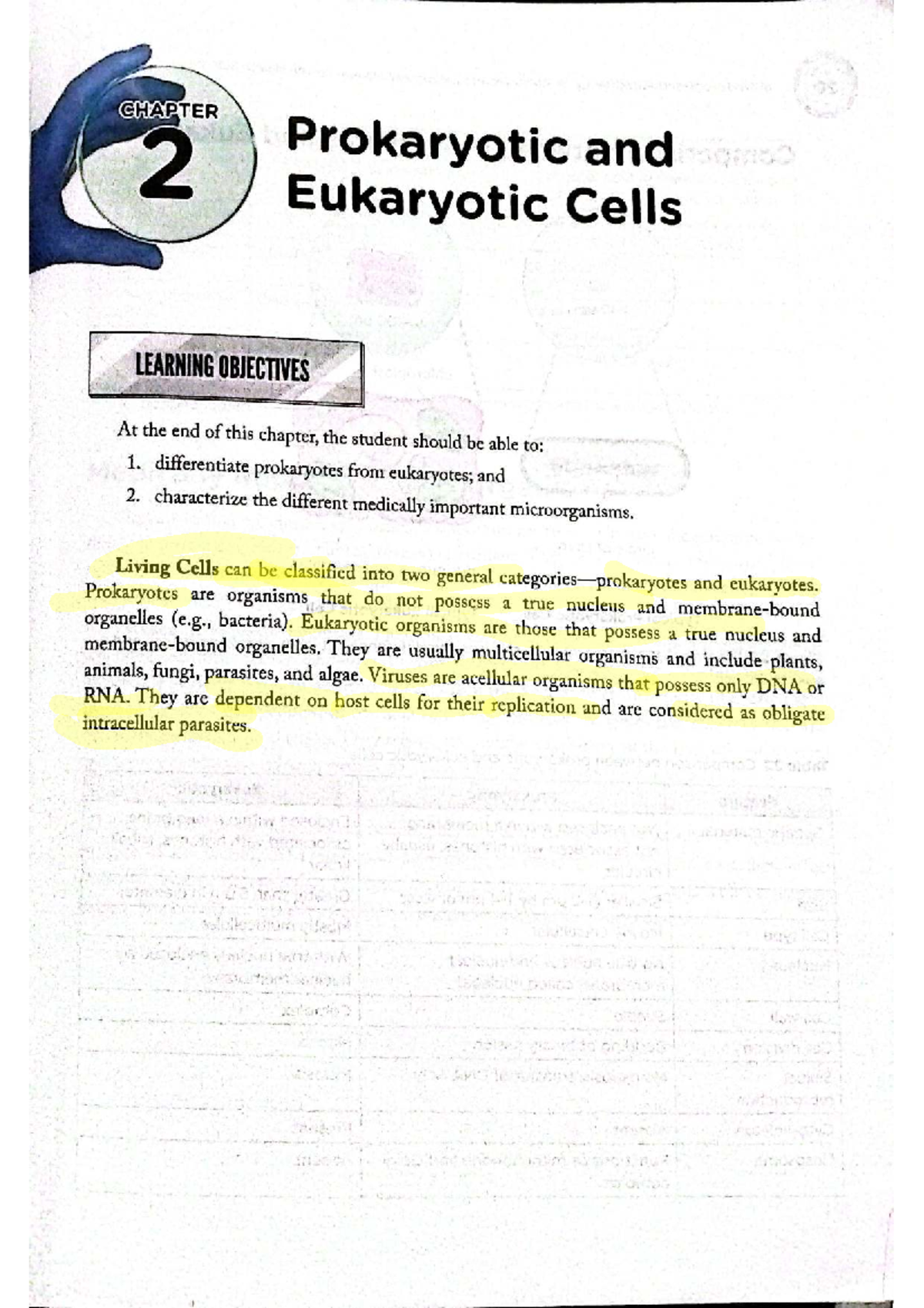 CHAPTER 2 Prokaryotic vs Eukaryotic Cells: Key Differences and ...