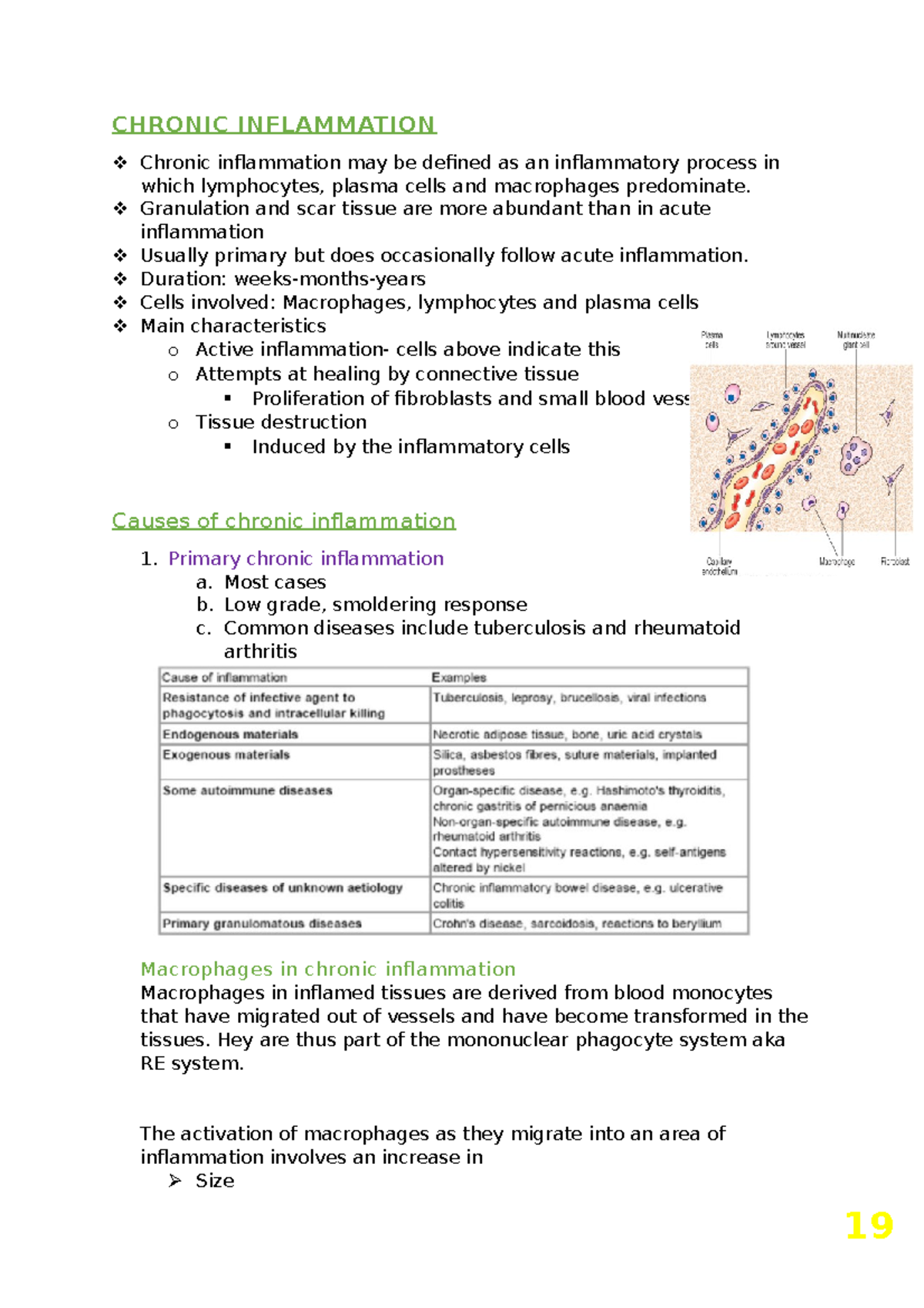 Chronic Inflammation Overview - C.H. Notes for Study - Studocu