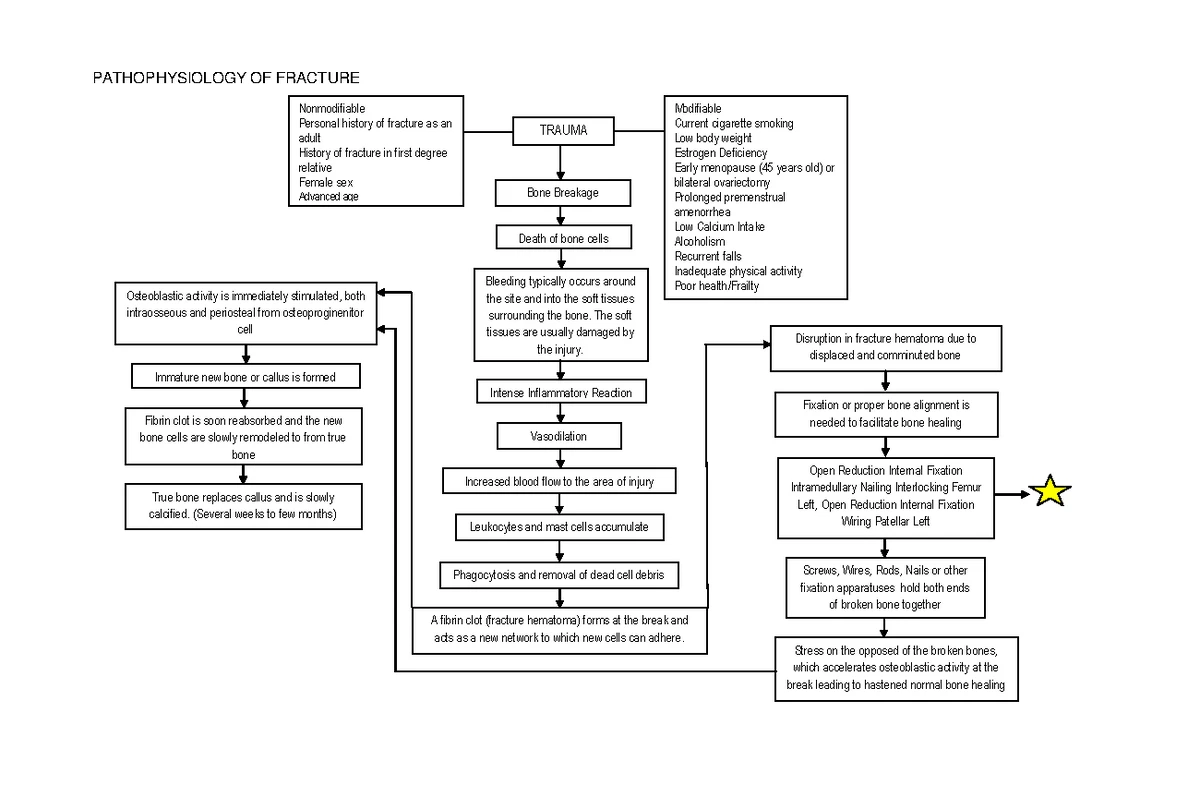 EINC - Essential Intrapartum & Newborn Care Practices Overview - Studocu