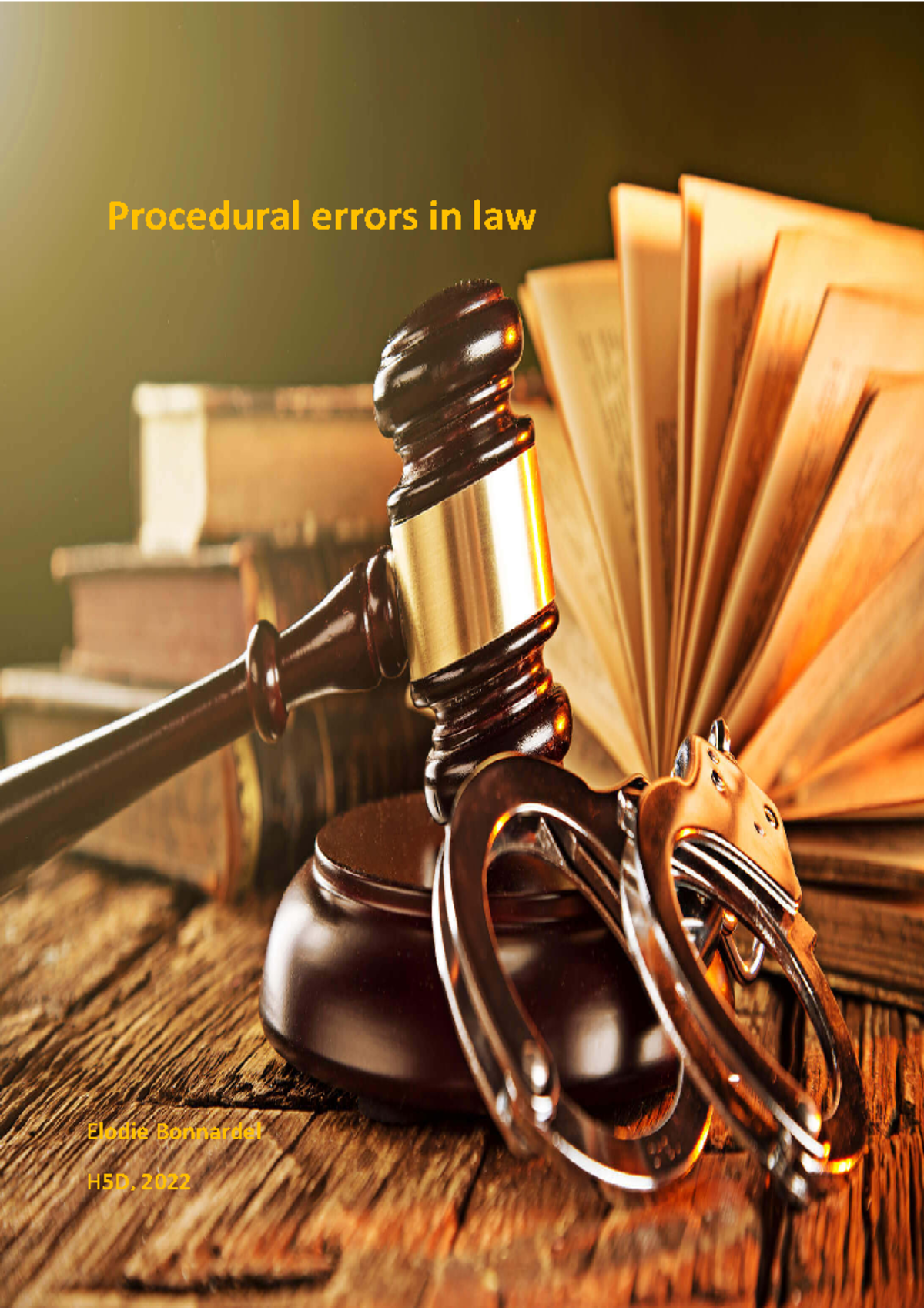 Procedural Errors in Law: A Profile Paper for H5D Students (2022 ...