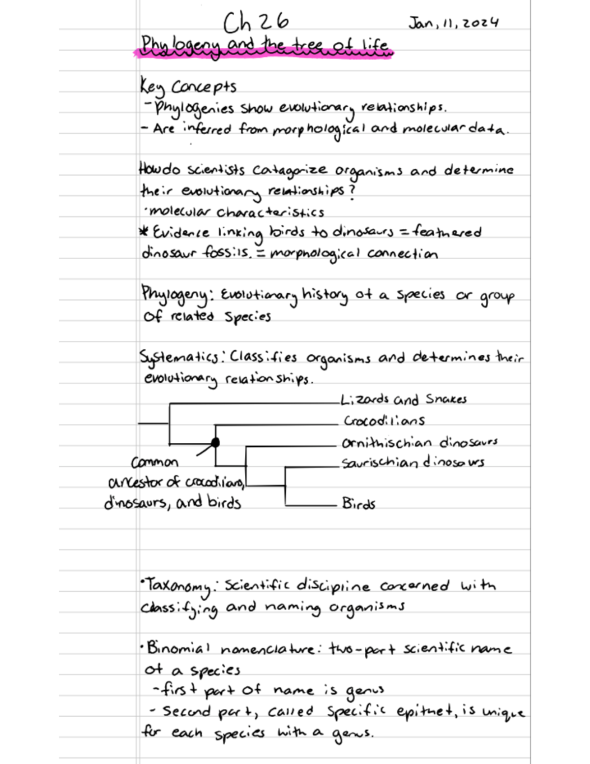 BIO2CH26 - CH26 lecture notes - Ch 26 Jan,11,2024 Phylogeny and the ...