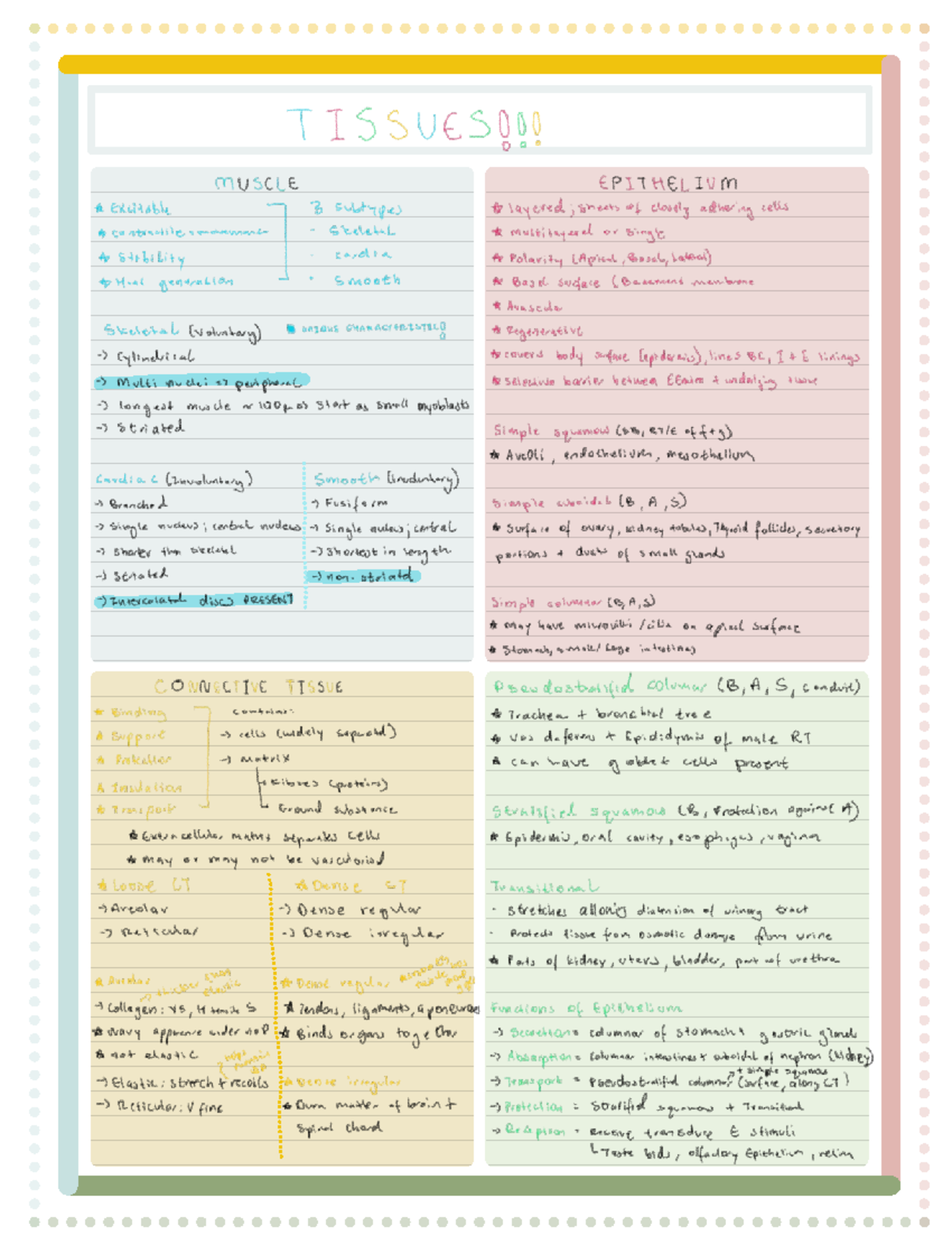 Lecture 1 - Summary Notes on Tissues and Their Characteristics - Studocu