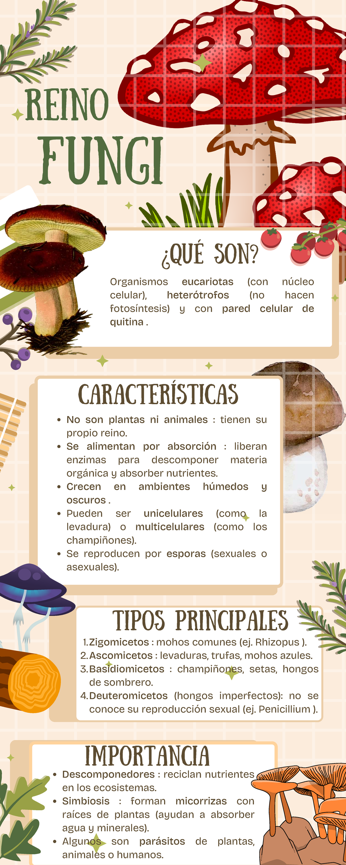 Los Reinos de la Naturaleza: Fungi, Vegetal, Protista y Monera - Studocu