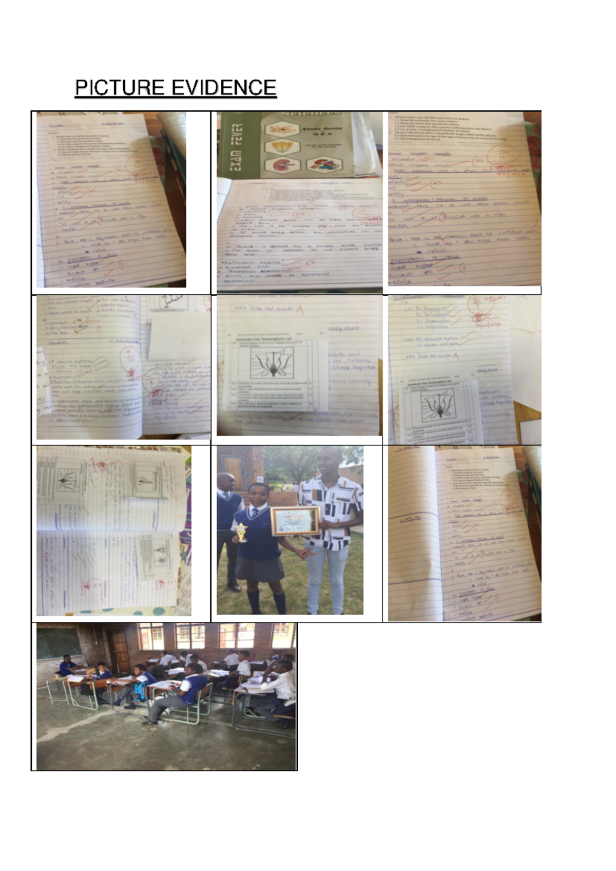 B.Ed. PGCE: Life Sciences Lesson Plans on Biodiversity and ...