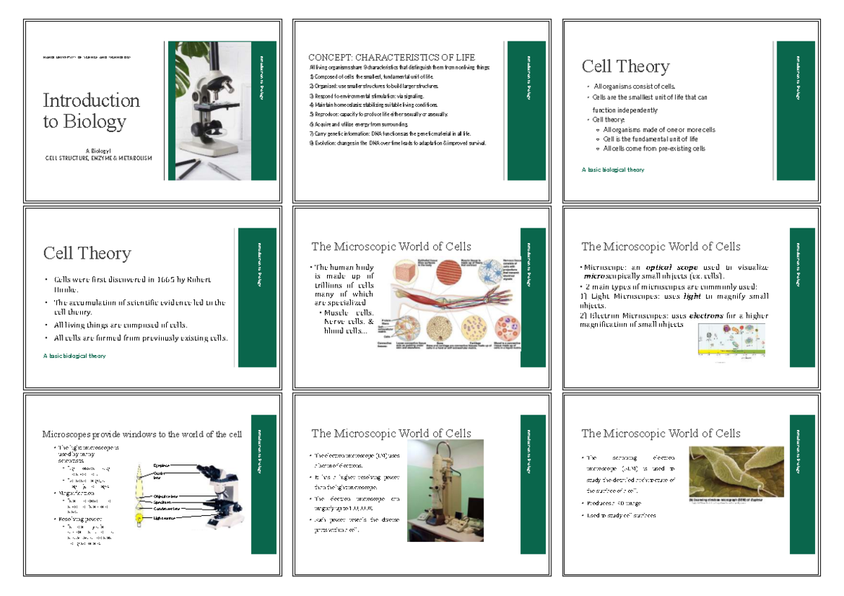 SV.BIO101 Week 2: Tour of Cells & Cell Theory Overview - Studocu