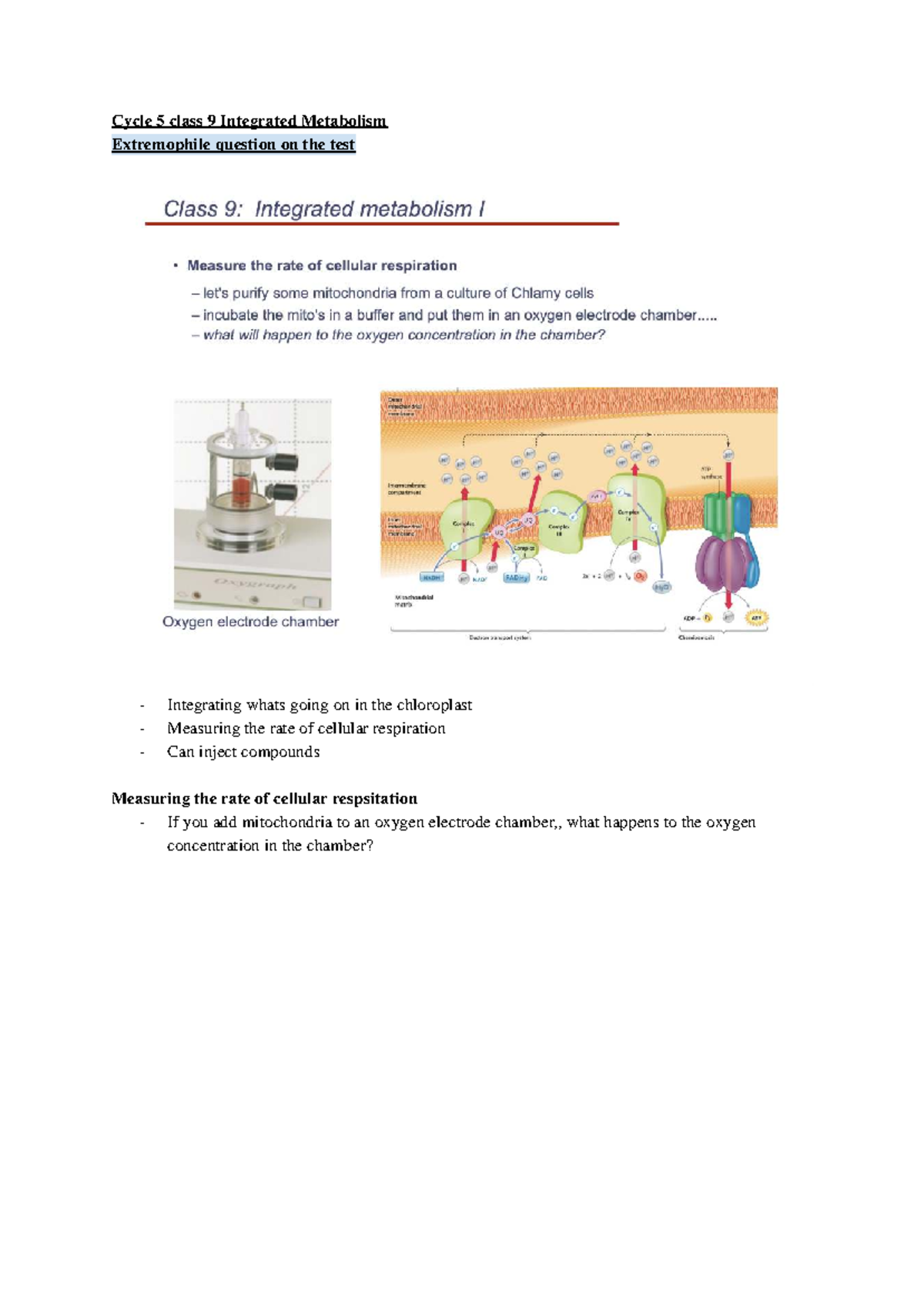 Biology 1002 Cycle 5: Integrated Metabolism & Cellular Respiration ...