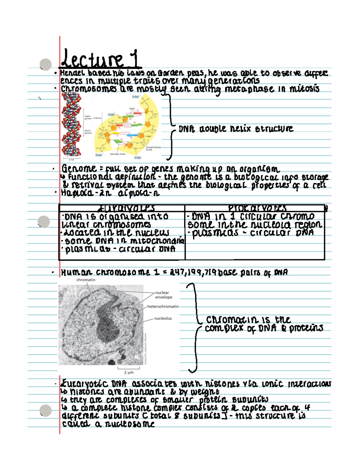 Lecture Notes - Understanding the Structure and Function of Cells ...