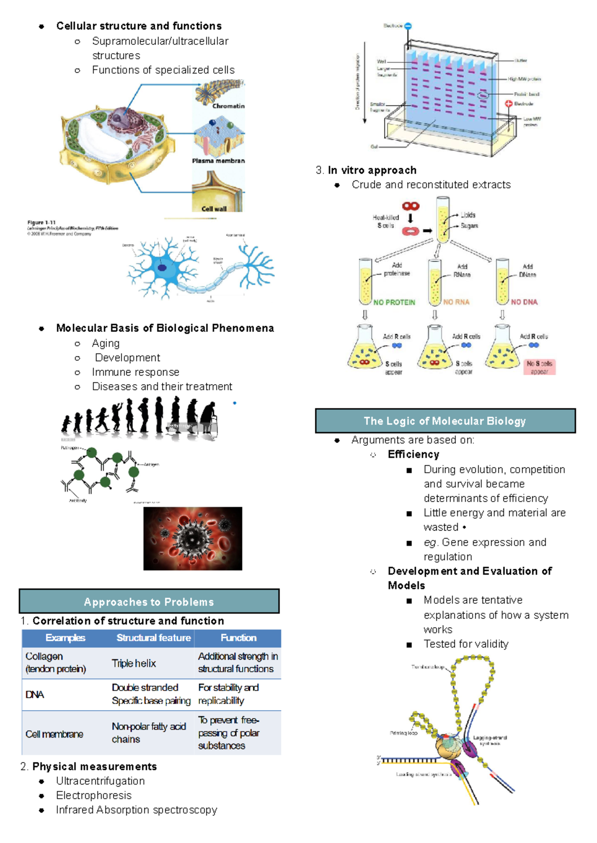 Mol Bio 2 - Introduction - Cellular structure and functions ...