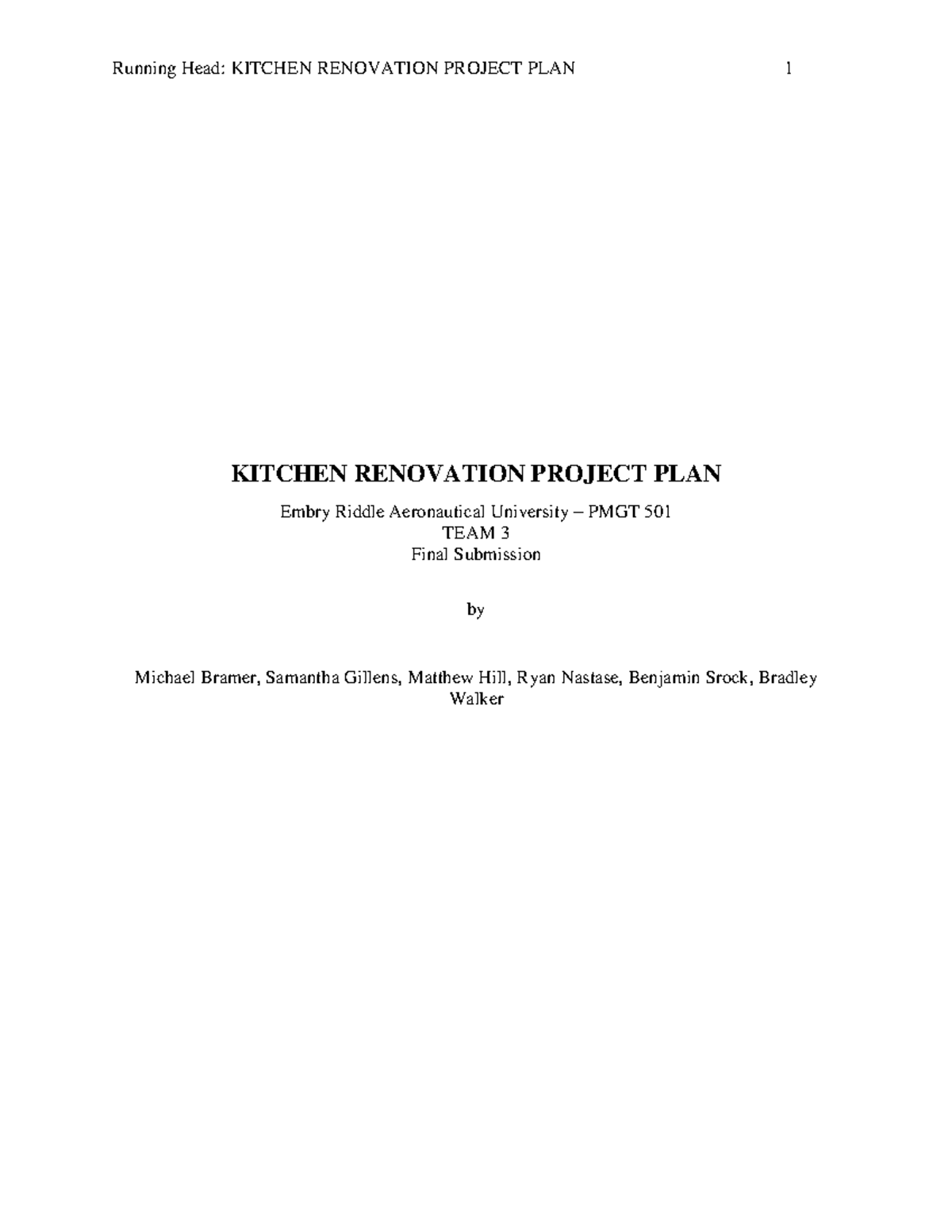 Kitchen Renovation Project Plan - PMGT 501 Group 3 Final Submission ...