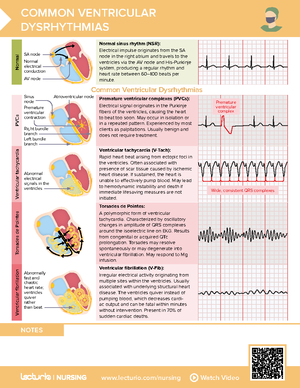 Nursing CS Fractures - CHEAT SHEETS - lecturio/nursing Watch Video ...