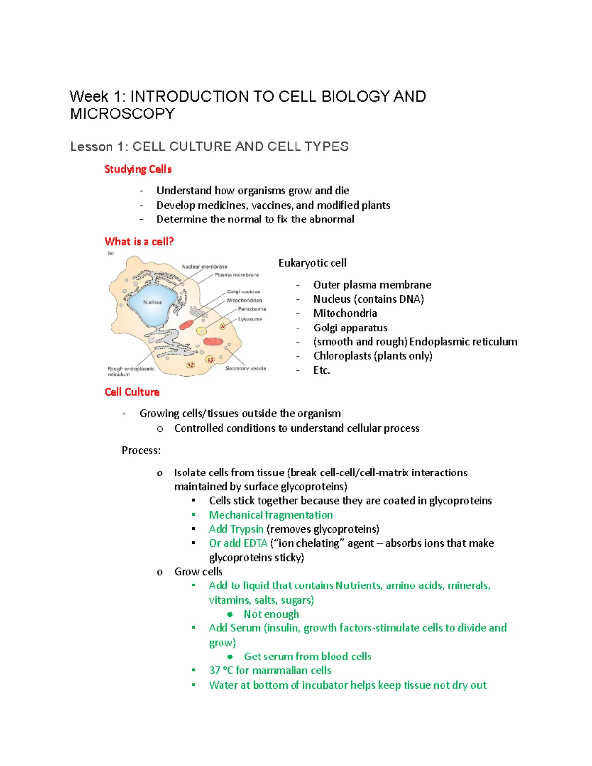 Cell Bio Study Note - Cell Bio Lecture Notes Lecture 1 - What is Cell ...